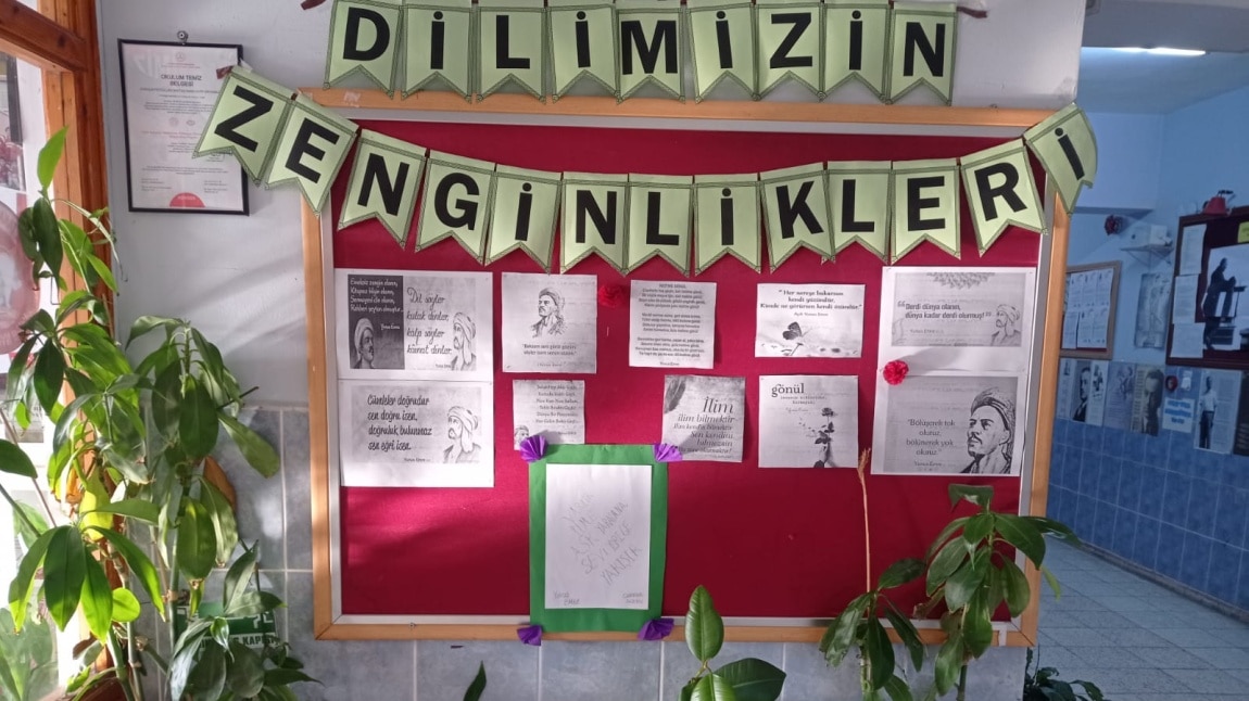 Dilimizin zenginlikleri