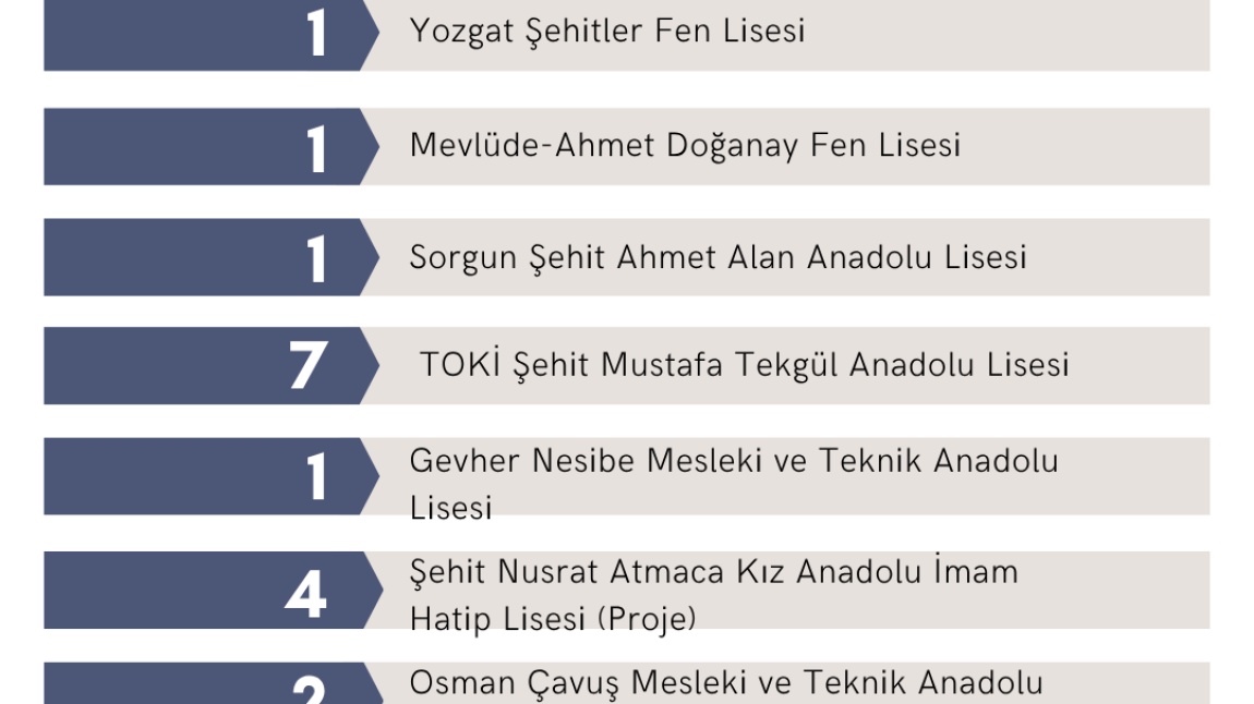 LGS Sonuçları